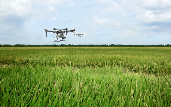 ���ǹ���ֲ�����˻�����õ�ʱ����