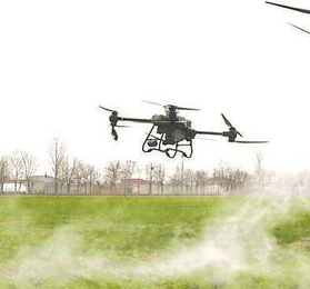 �������߲���ֲ�����˻�����ʤ���ճ�Ϊ�Ե�