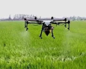 ���˻��ƶ����ǻ�ũҵ��