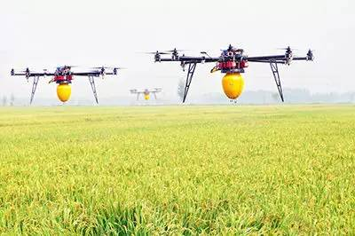 ���ϣ�С���������˻�����ķ�� ũ�����е��ˮƽ�������