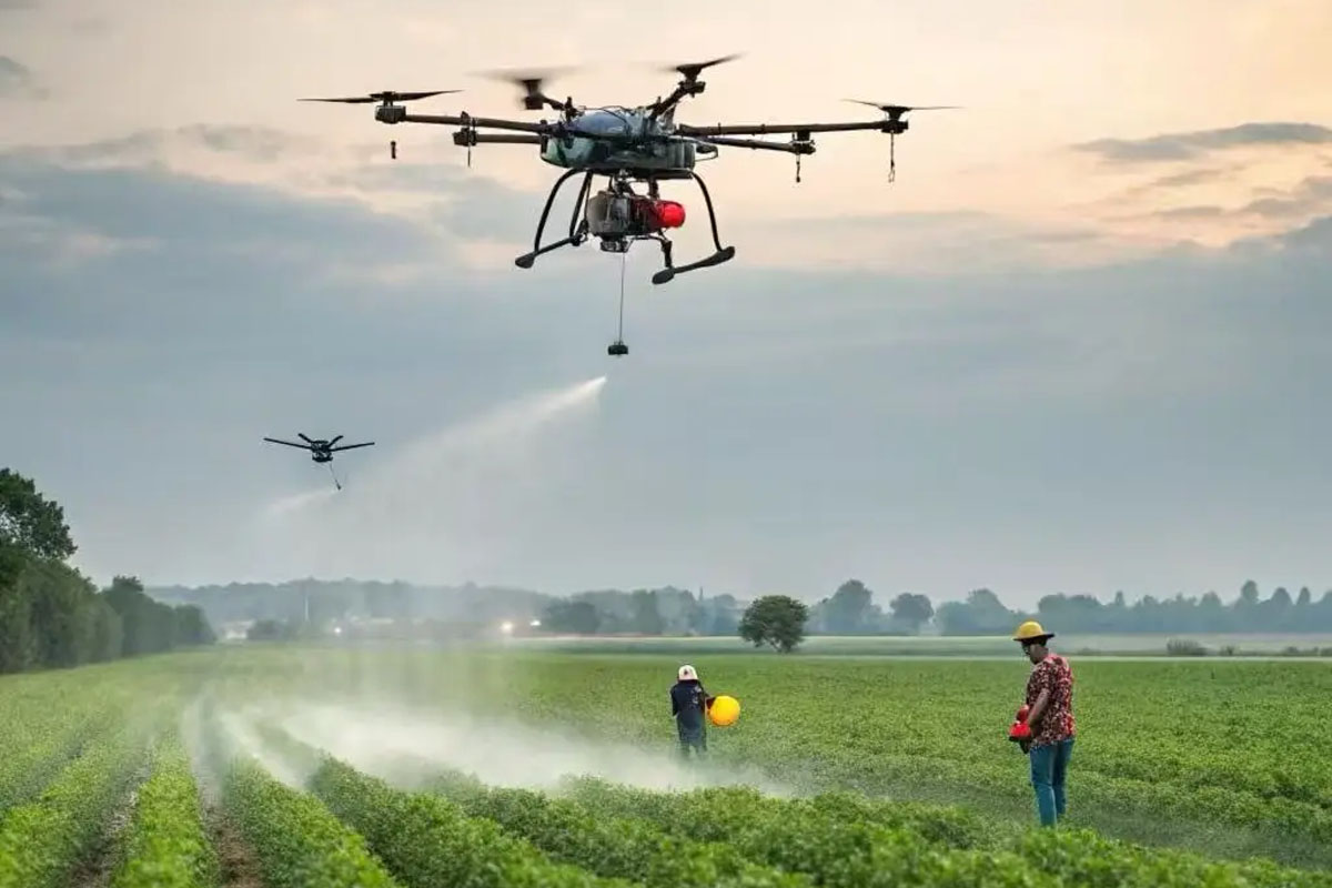 2026�������������˻��ɹ��Խ�Ǣ̸��6���ٿ�